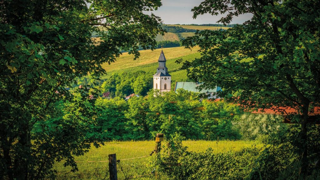 vinarstvi-vaclav-vol-2-17